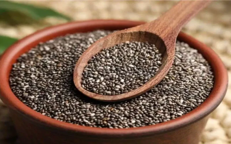 شروط وإجراءات إصدار رخصة بيع وتداول البذور والتقاوي وآثارها على السوق الزراعي